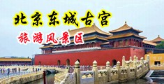 大鸡巴操骚逼无码视频中国北京-东城古宫旅游风景区