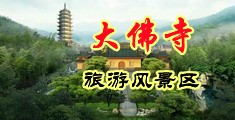啊啊啊操死我了骚逼视频中国浙江-新昌大佛寺旅游风景区